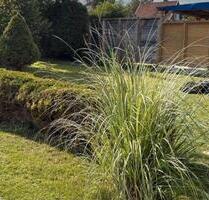 Pachtgarten - 2.600,00&nbsp;EUR Kaltmiete, ca.&nbsp; 0,00&nbsp;m&sup2; in Bad Langensalza (PLZ: 99947)