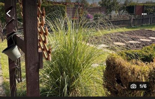 Foto - Grundst&uuml;ck zur Miete in Bad Langensalza