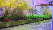 Foto - andere zur Miete in Lüneburg
