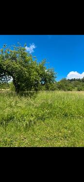 Foto - Grundst&uuml;ck in Backnang