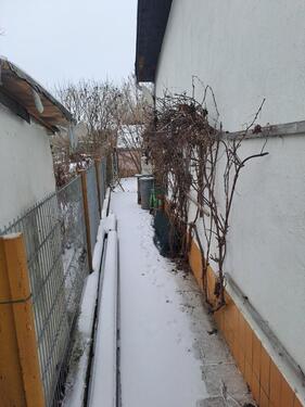 Foto - Einfamilienhaus in Magdeburg zum Kaufen