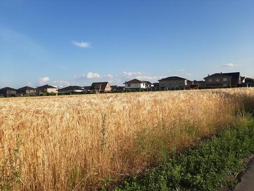 Foto - Erdgeschoßwohnung in Damme zur Miete