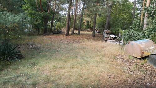 Foto - Doppelhaushälfte in Burg zum Kaufen