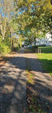 Foto - 3 Zimmer Erdgeschoßwohnung in Halle (Saale)