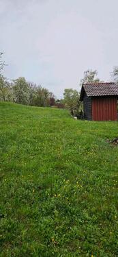 Foto - Grundst&uuml;ck zur Miete in Oberstenfeld