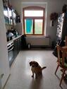 Foto - Etagenwohnung in Jena zur Miete