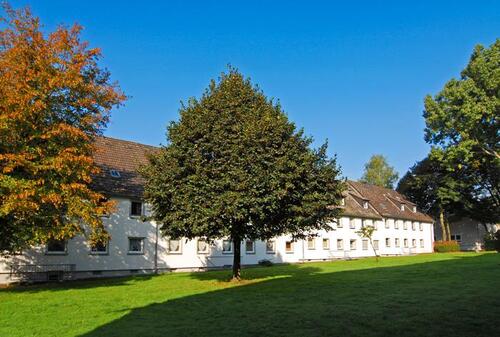 Foto - 3 Zimmer Erdgeschoßwohnung in Gelsenkirchen