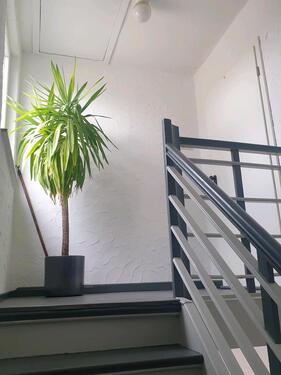 Foto - DG Wohnung in 59063 Hamm, 3FH - 498,00&nbsp;EUR Kaltmiete, ca.&nbsp; 34,00&nbsp;m&sup2;