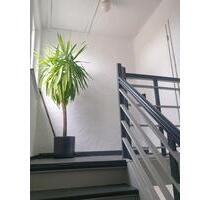 DG Wohnung in 59063 Hamm, 3FH - 498,00&nbsp;EUR Kaltmiete, ca.&nbsp; 34,00&nbsp;m&sup2; in Hamm (PLZ: 59075) Bockum