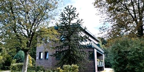 Foto - 2 Zimmer Loft - Studio - Atelier zur Miete in Bad Zwischenahn