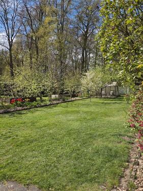 Foto - Doppelhaushälfte in Osnabrück zum Kaufen