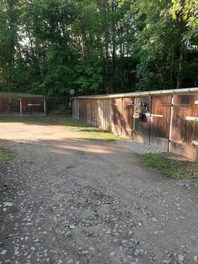 Foto - andere zur Miete in Chemnitz