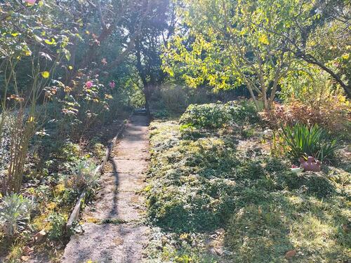 Foto - Grundst&uuml;ck zur Miete in Schwerin