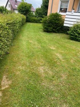 Foto - 5 Zimmer Etagenwohnung in Georgsmarienhütte