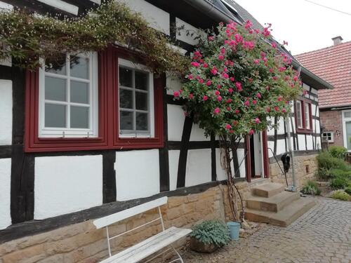 Foto - 5 Zimmer Einfamilienhaus zum Kaufen in Böhl-Iggelheim