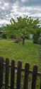 Foto - Garten in der Kastanienallee - 160,00&nbsp;EUR Kaltmiete, ca.&nbsp; 0,00&nbsp;m&sup2;