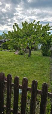 Foto - Garten in der Kastanienallee - 160,00&nbsp;EUR Kaltmiete, ca.&nbsp; 0,00&nbsp;m&sup2;