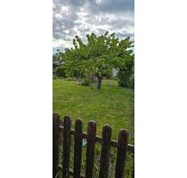 Garten in der Kastanienallee - 160,00&nbsp;EUR Kaltmiete, ca.&nbsp; 0,00&nbsp;m&sup2; in Ueckermünde (PLZ: 17373)