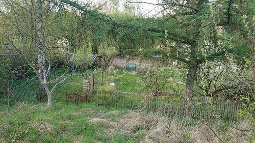 Foto - Garten in Brüel zu verpachten - 50,00&nbsp;EUR Kaltmiete, ca.&nbsp; 0,00&nbsp;m&sup2;