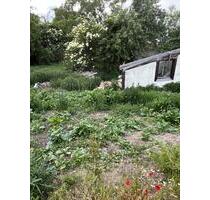 Wochenendgrundstück Ingolstadt zu verpachten - Pfaffenhofen an der Ilm