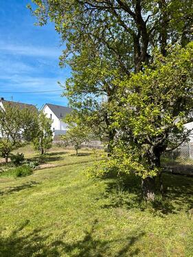 Foto - Einfamilienhaus in Polch zum Kaufen
