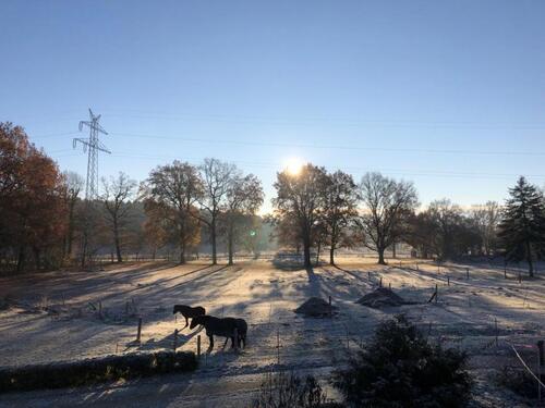 Foto - Etagenwohnung in Buchholz in der Nordheide zur Miete