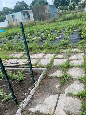 Foto - Grundst&uuml;ck zur Miete in Tribsees