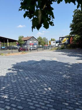 Foto - andere in Frankfurt am Main