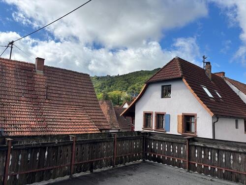 Foto - 3 Zimmer Einfamilienhaus in Ilbesheim bei Landau in der Pfalz