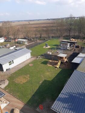 Foto - Einfamilienhaus in Möckern zum Kaufen