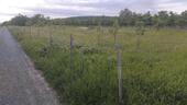 Foto - Garten Grundstück - 250,00&nbsp;EUR Kaltmiete, ca.&nbsp; 0,00&nbsp;m&sup2;