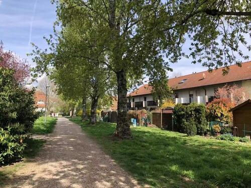 Foto - Etagenwohnung in Frankenthal (Pfalz) zur Miete