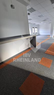 Foto - andere in Krefeld