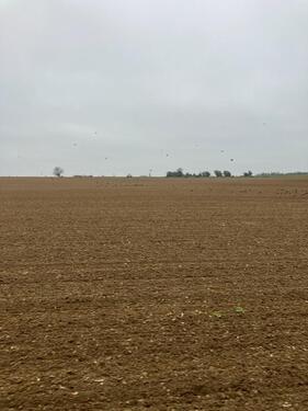 Foto - Größere Ackerflächen Aachen - 12,00 EUR Kaltmiete, ca.  150,00 m²