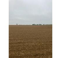 Größere Ackerflächen Aachen - 12,00 EUR Kaltmiete, ca.  150,00 m² in Aachen (PLZ: 52072) Aachen-Mitte