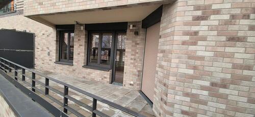 Foto - 2.5 Zimmer Hochparterre in Dresden