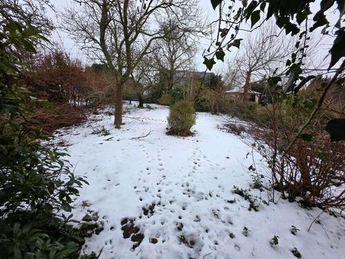 Foto - Einfamilienhaus in Cuxhaven
