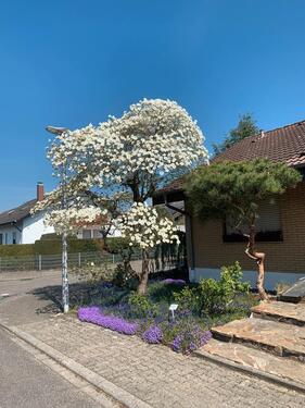 Foto - Einfamilienhaus in Linkenheim-Hochstetten zum Kaufen