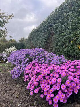 Foto - Grundst&uuml;ck zur Miete in Lübben (Spreewald)