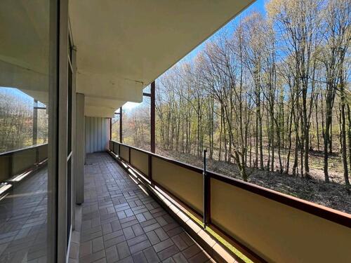 Foto - Großzügige 3 ZKB mit Loggia in ruhiger Stadtlage im Altseiterstal