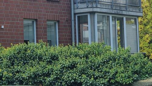 Foto - Etagenwohnung zur Miete in Bückeburg