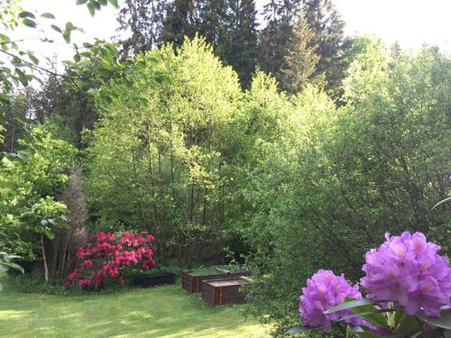 Foto - Einfamilienhaus in Hermeskeil zum Kaufen
