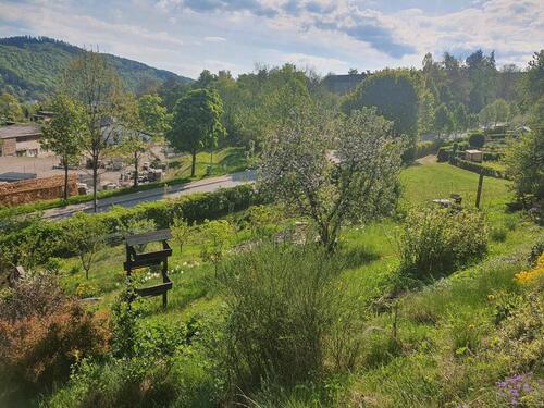 Foto - Grundstück zur Miete in Schwarzenberg/Erzgebirge
