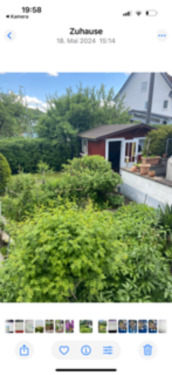 Foto - Etagenwohnung in Mühlheim an der Donau zur Miete