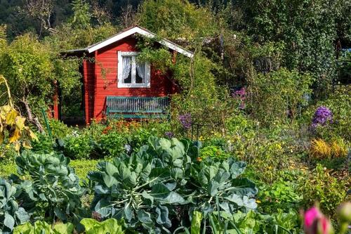Foto - SchrebergartenKleingarten zur Pacht in Freyung und Umgebung