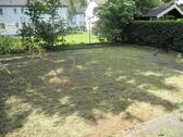 Foto - Top Wohnung mit Garten in einer ruhigen Lage