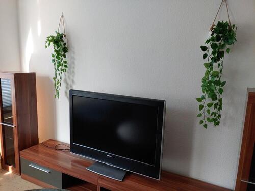 Foto - 2 Zimmer Etagenwohnung zur Miete in Düsseldorf