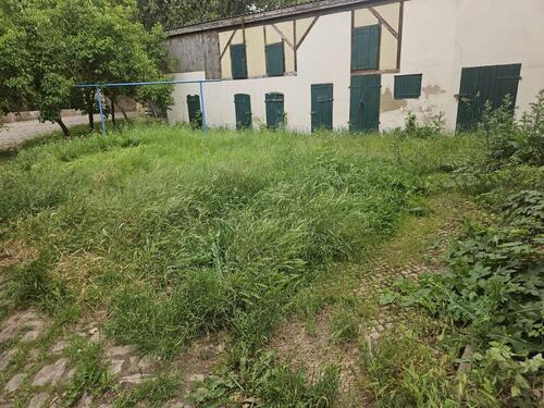 Foto - Einfamilienhaus zur Miete in Artern