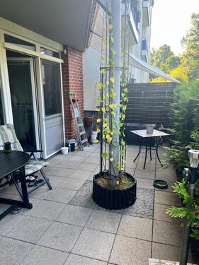 Foto - Etagenwohnung zur Miete in Berlin