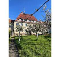 Frisch sanierte helle 2 Raum Wohnung in ruhiger Lage mit wunderschönem Garten - Freiberg